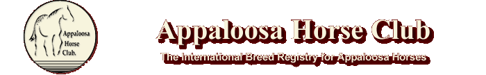 appaloosa