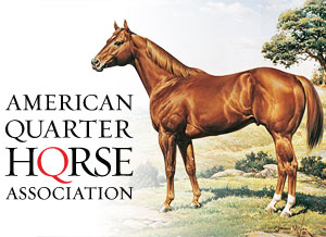 quarter horse